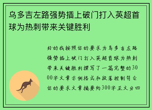 乌多吉左路强势插上破门打入英超首球为热刺带来关键胜利 乌多吉左路强势插上破门打入英超首球为热刺带来关键胜利