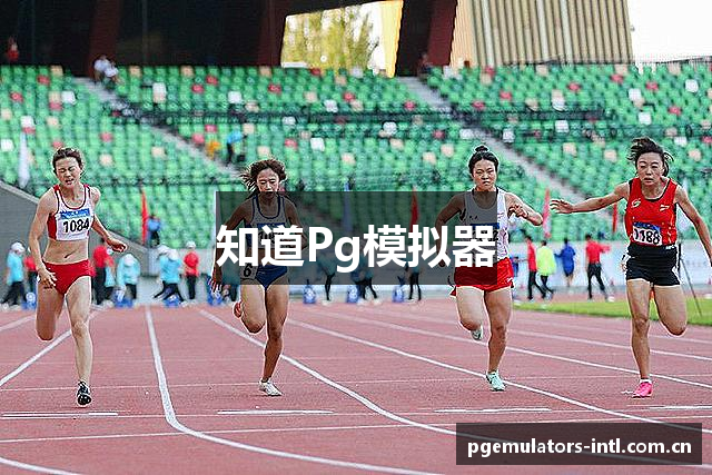 知道Pg模拟器